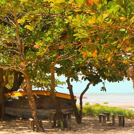 Pousada Venezia Tropicale จาปาราตินกา ภายนอก รูปภาพ